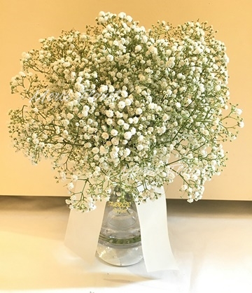 **ST WH01** Gypsophila Paniculata Bridal Bouquet