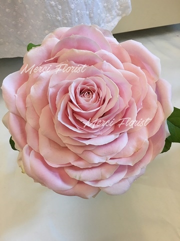 **SPBRS PN06** Pink Rose Bridal Bouquet